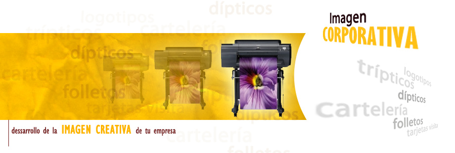 Dise&ntilde;ador Castell&oacute;n